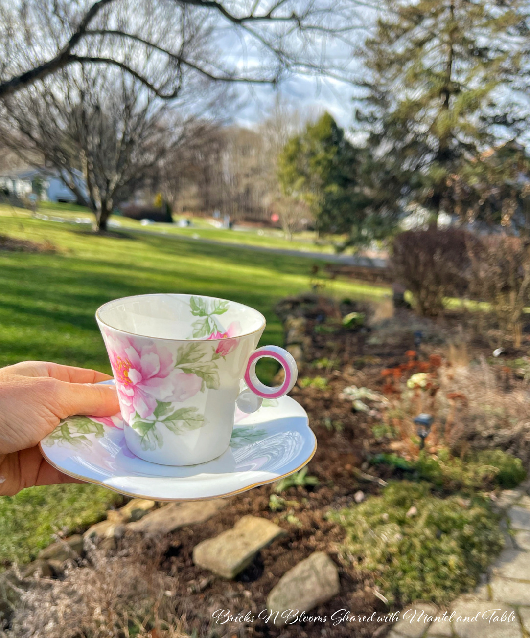 Pink and white flowered teacup on saucer out in a winter garden
