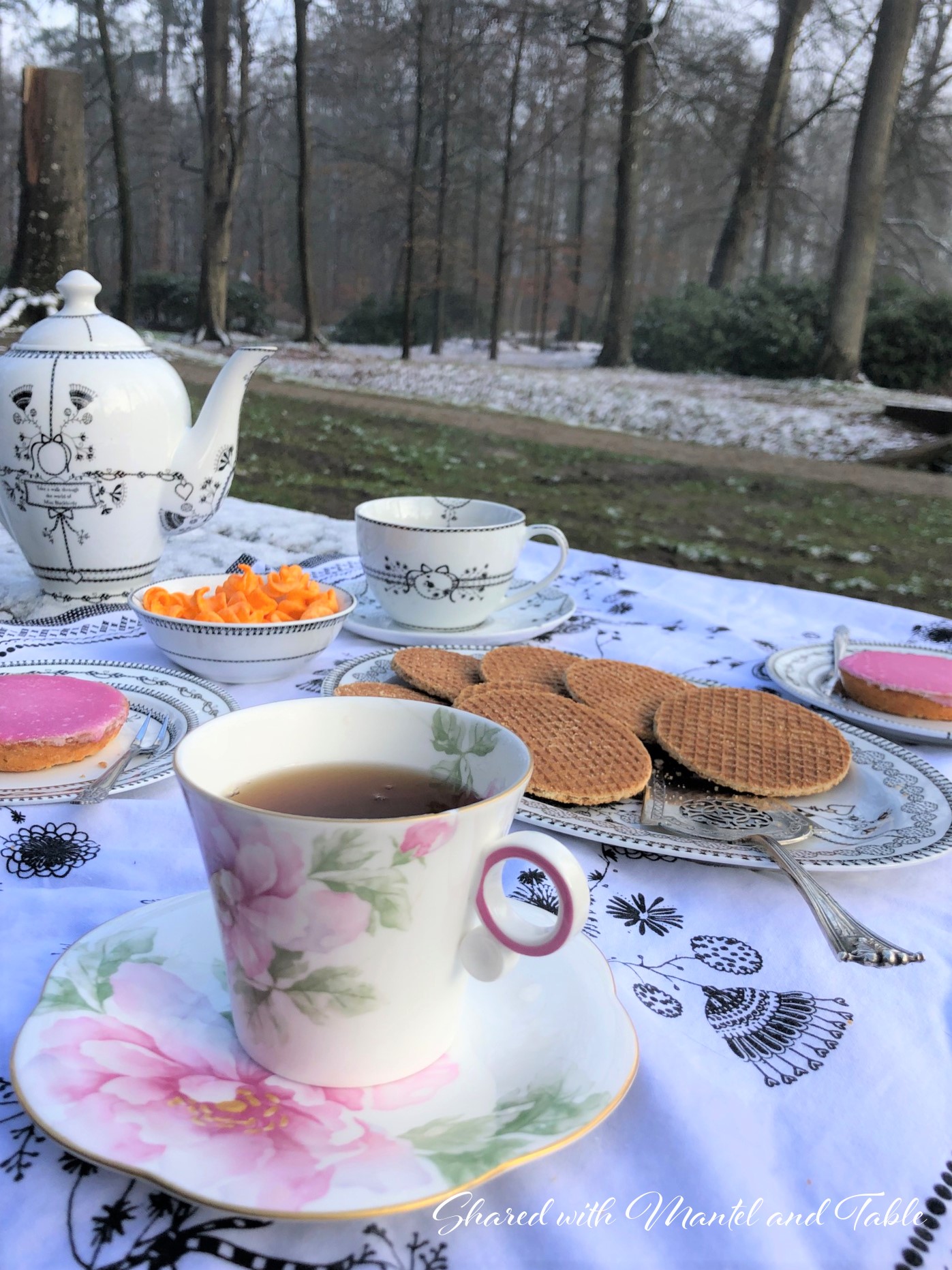 Tea in the Netherlands - close up of pink flowered teacup, cookies, and cakes