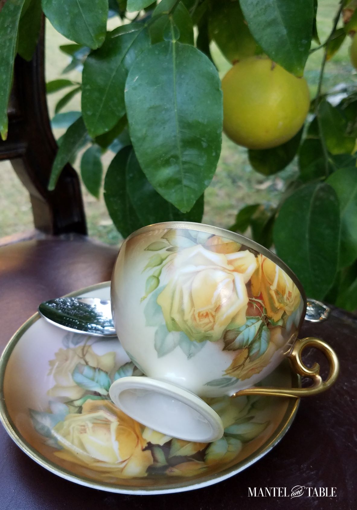 Teacup lying in saucer with spoon