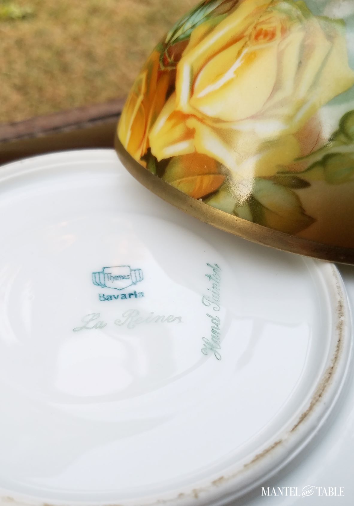 Yellow rose teacup and overturned saucer with backstamps "Thomas Bavaria," "La Reine," and "Hand Painted"
