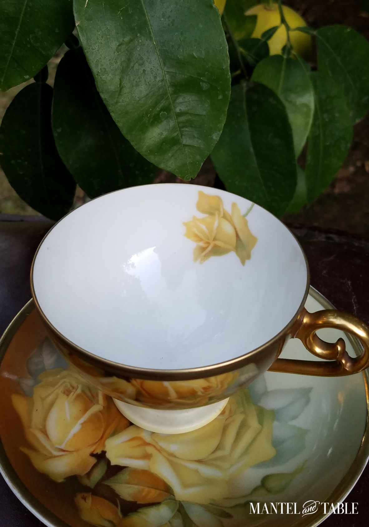 Teacup from above showing interior yellow rosebud