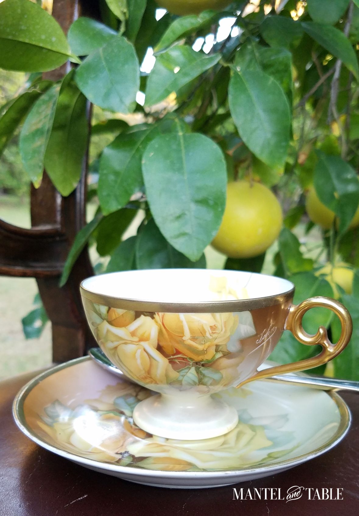 Yellow rose teacup closeup on saucer with spoon, lemons in background