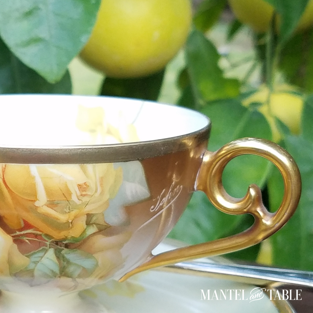 Yellow rose teacup closeup of signature