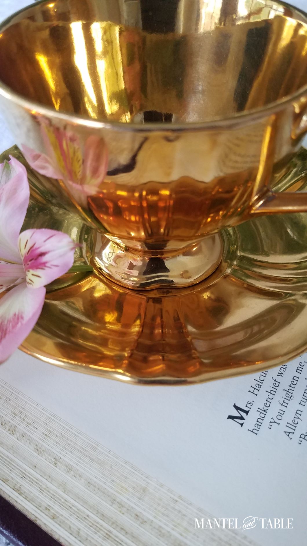 Super close up of cup, flower, and book
