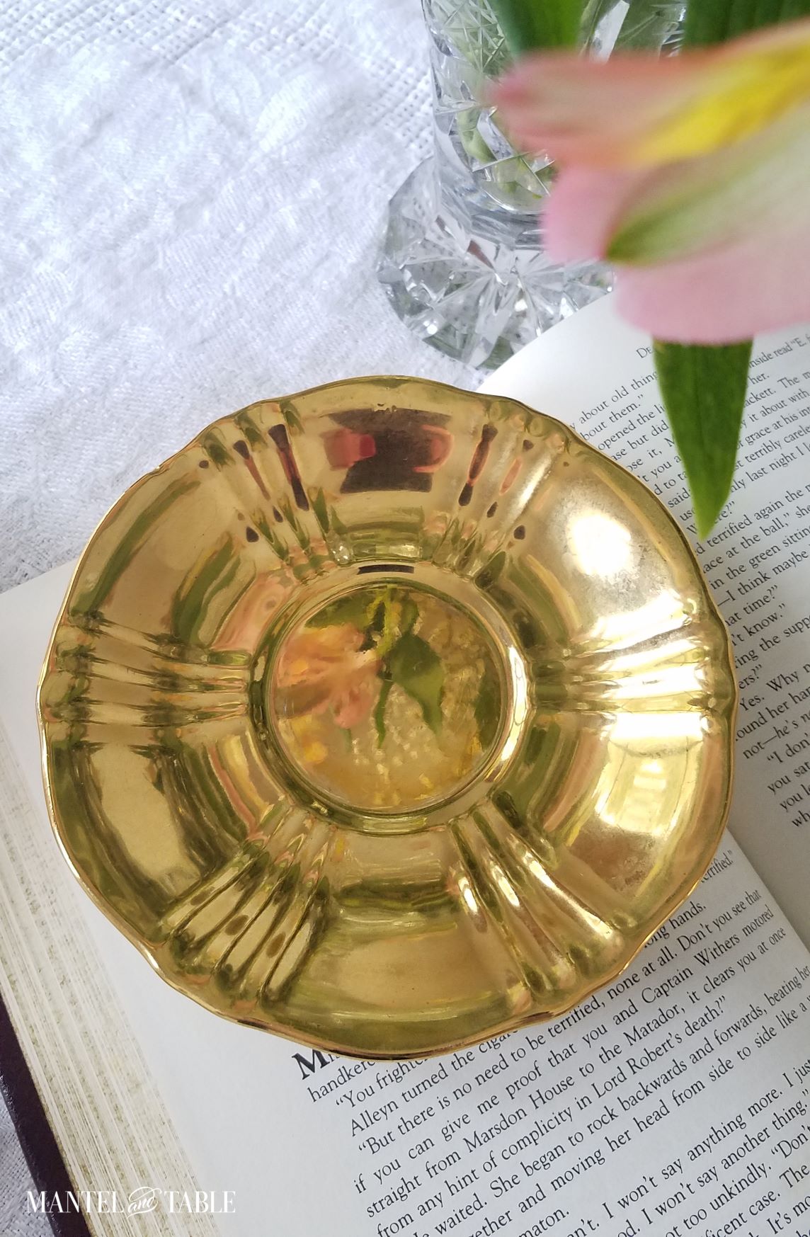 Saucer from above