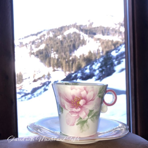 Our Traveling Teacup in the Beautiful Snowy Mountains
