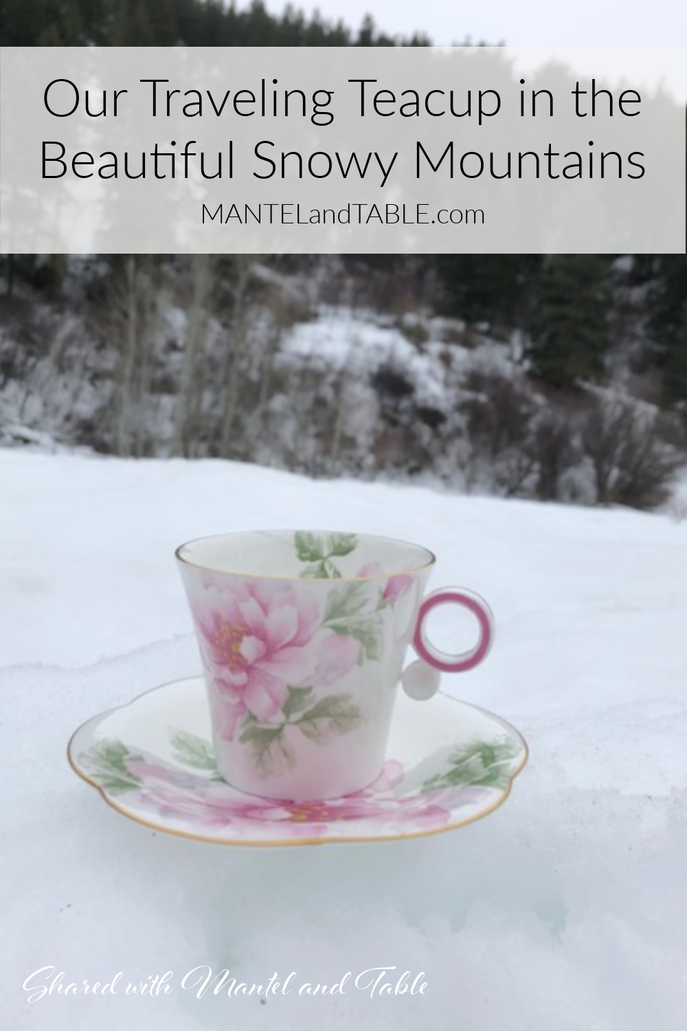 Our Traveling Teacup looking like it's floating in the snow