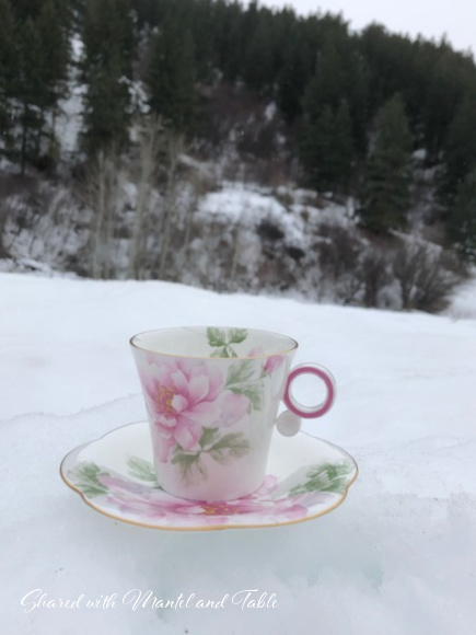 Teacup in the snow with tree-covered hills in the background
