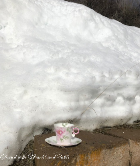 Our Traveling Teacup on a garden wall next to a very tall pile of snow