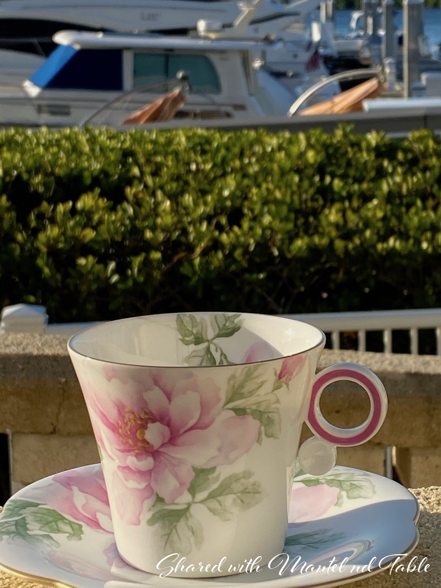 Charming Traveling Teacup with yachts at a marina