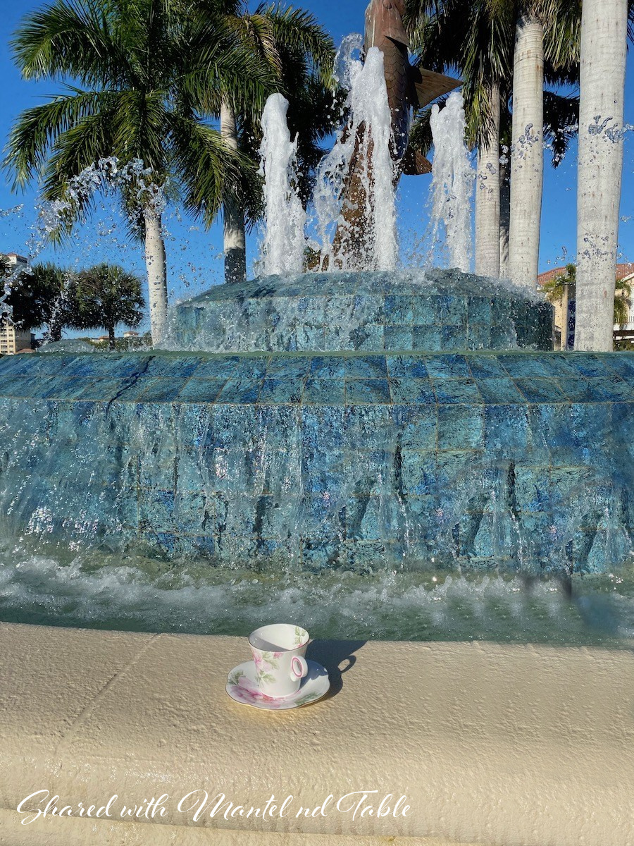 Teacup in front of large fountain