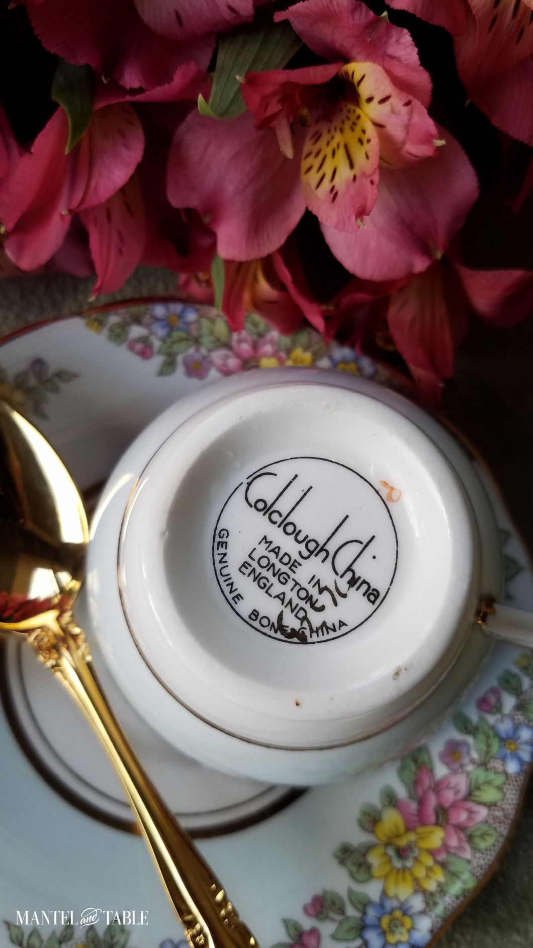 Underside of cup on saucer with gold spoon. Backstamp "Colclough China Made in Longton England 4 Genuine Bone China" with orange letter P and illegible handwritten numbers