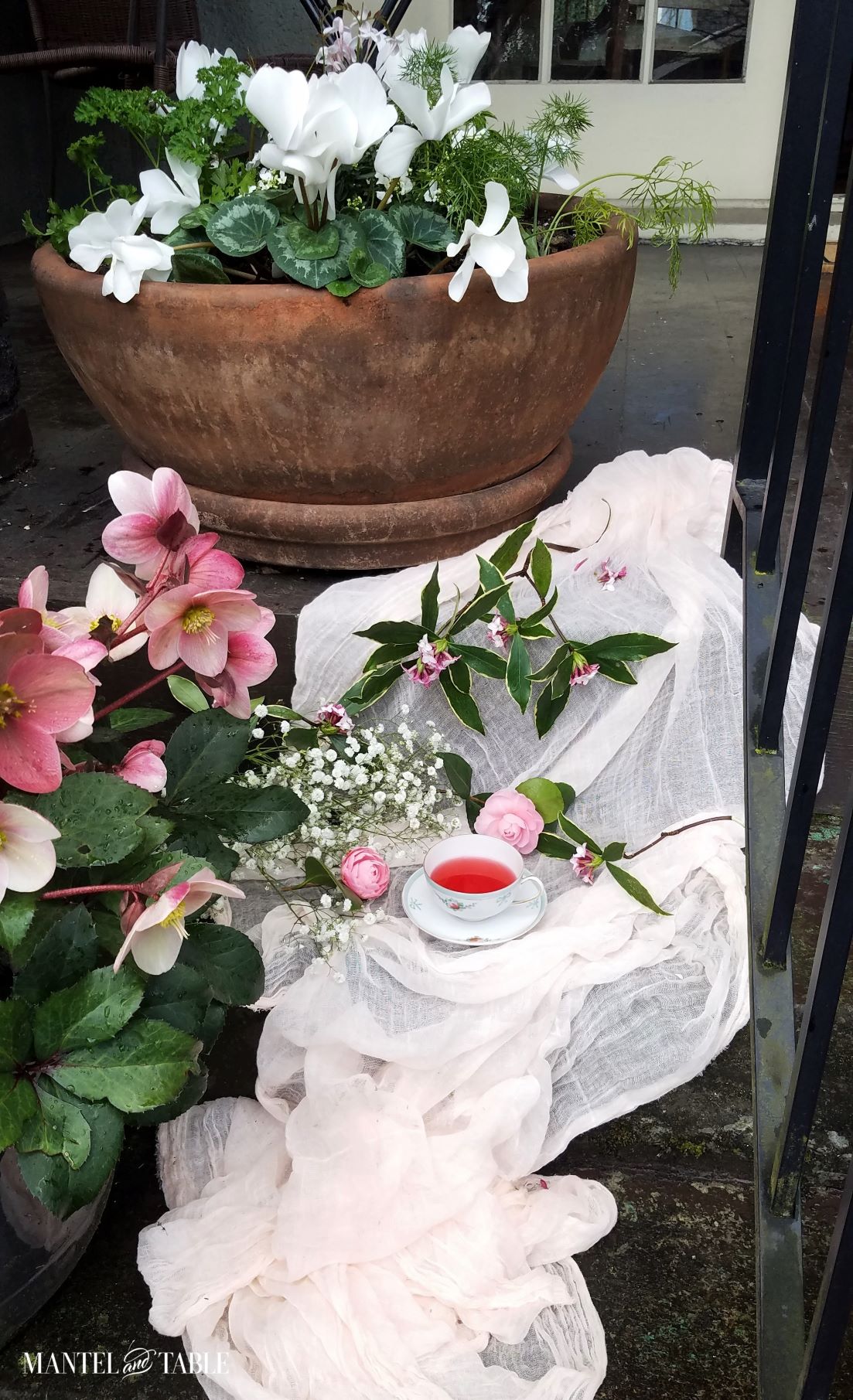 Wide view of teacup on front porch steps. Two planters of spring flowers, pink voile and baby's breath