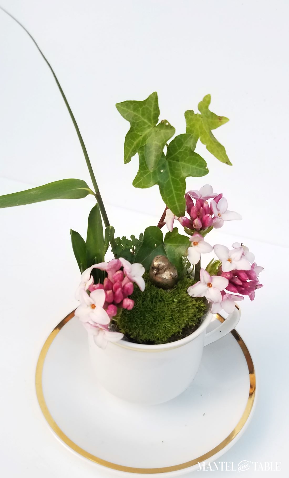 Teacup garden from above - white, green, pink, and gold