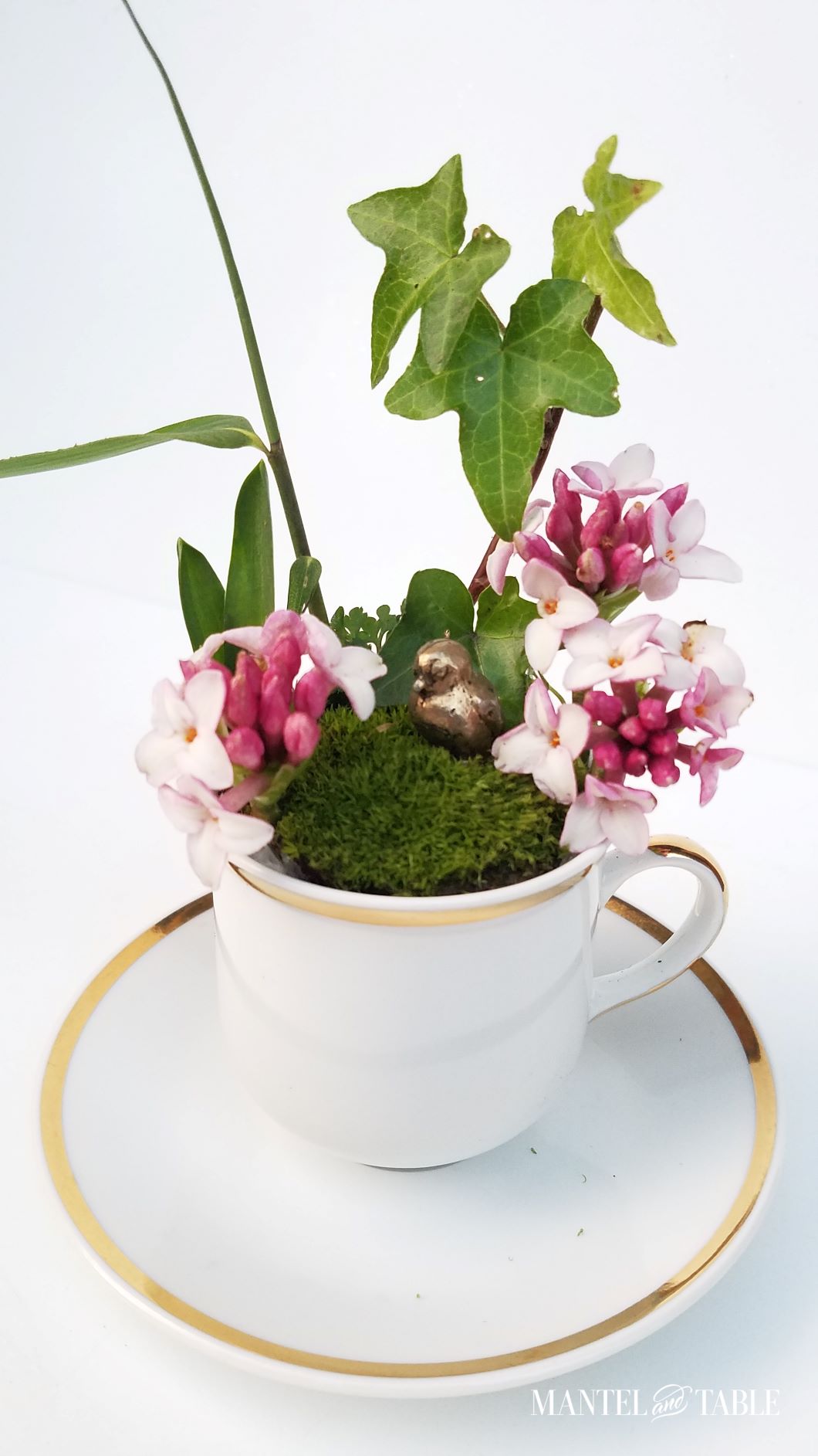 Teacup garden in white cup with gold rim