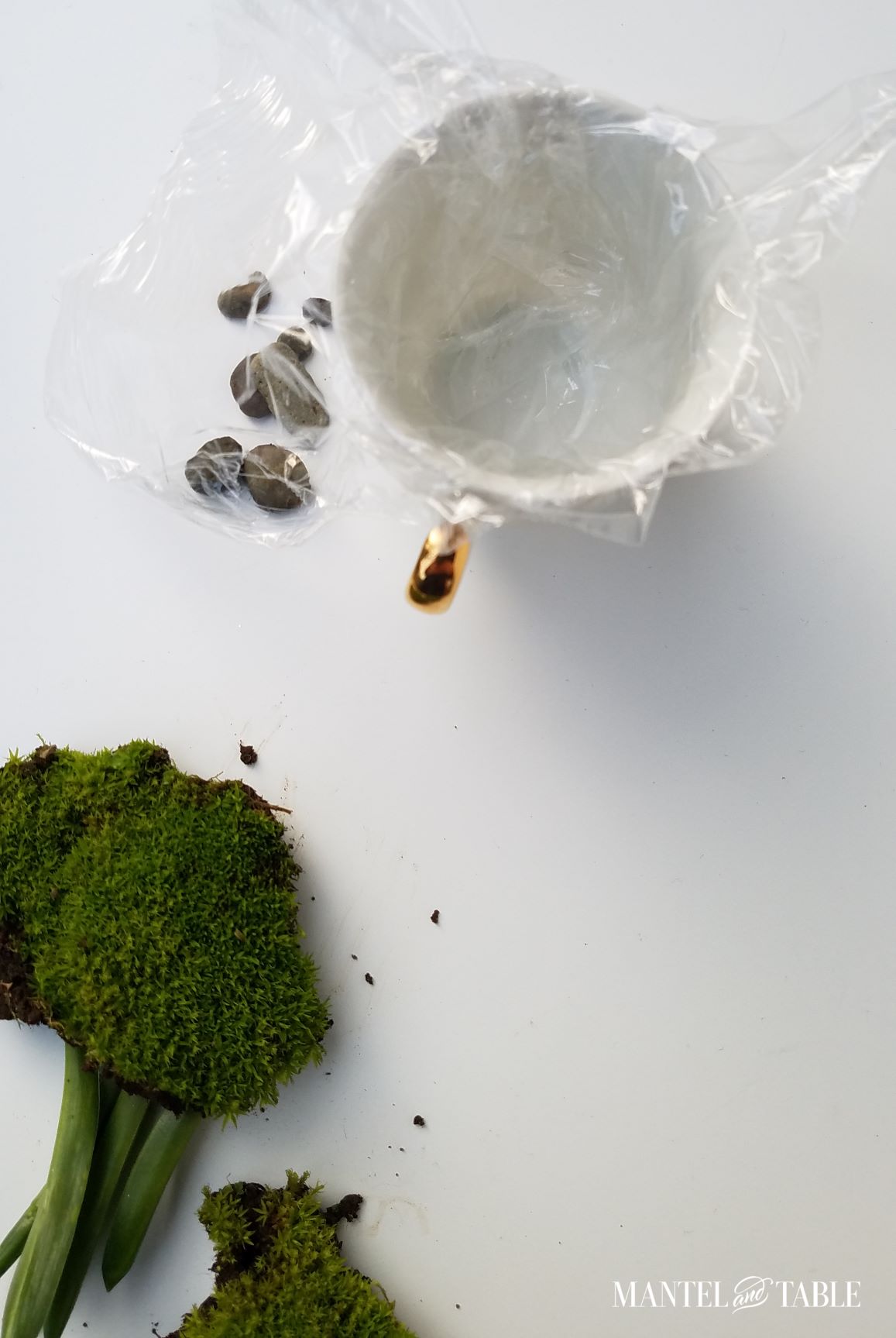 Top view of teacup lined with plastic wrap, and extending over the sides. Plants and moss in foreground