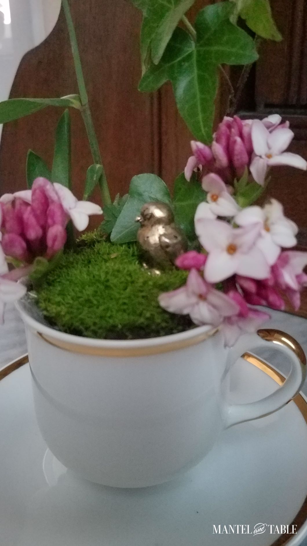 Closeup of garden in white teacup on marble topped dresser