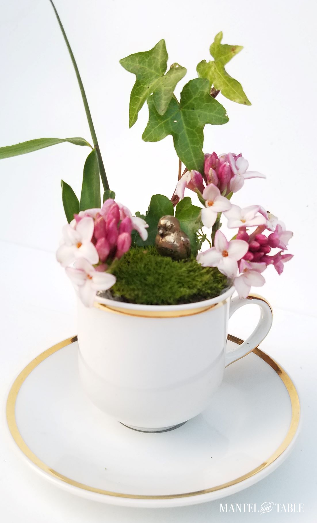 Side view of teacup garden