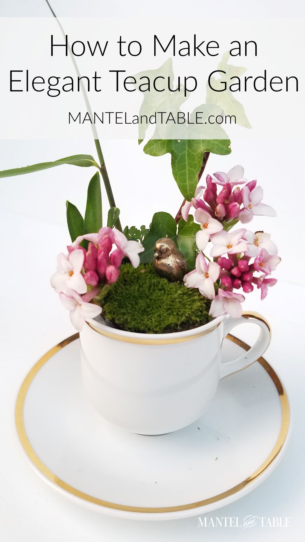 White and gold teacup garden with Pinterest banner