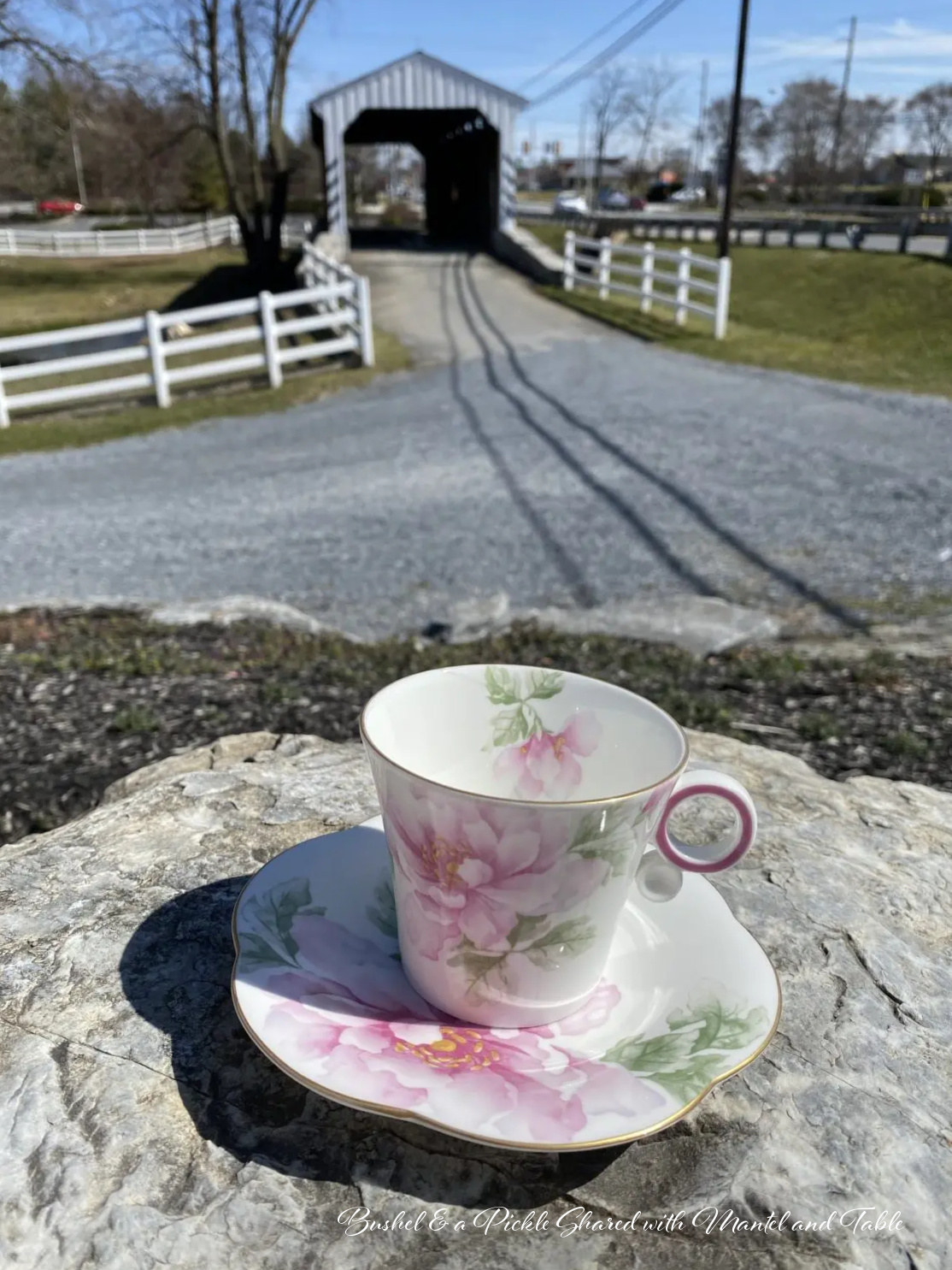 Pink and white teacup on a large rock in front of one of Lancaster's covered bridges