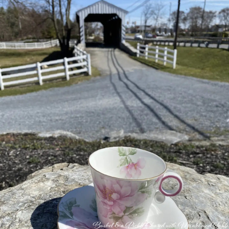 The Traveling Teacup In Beautiful Historic Lancaster PA