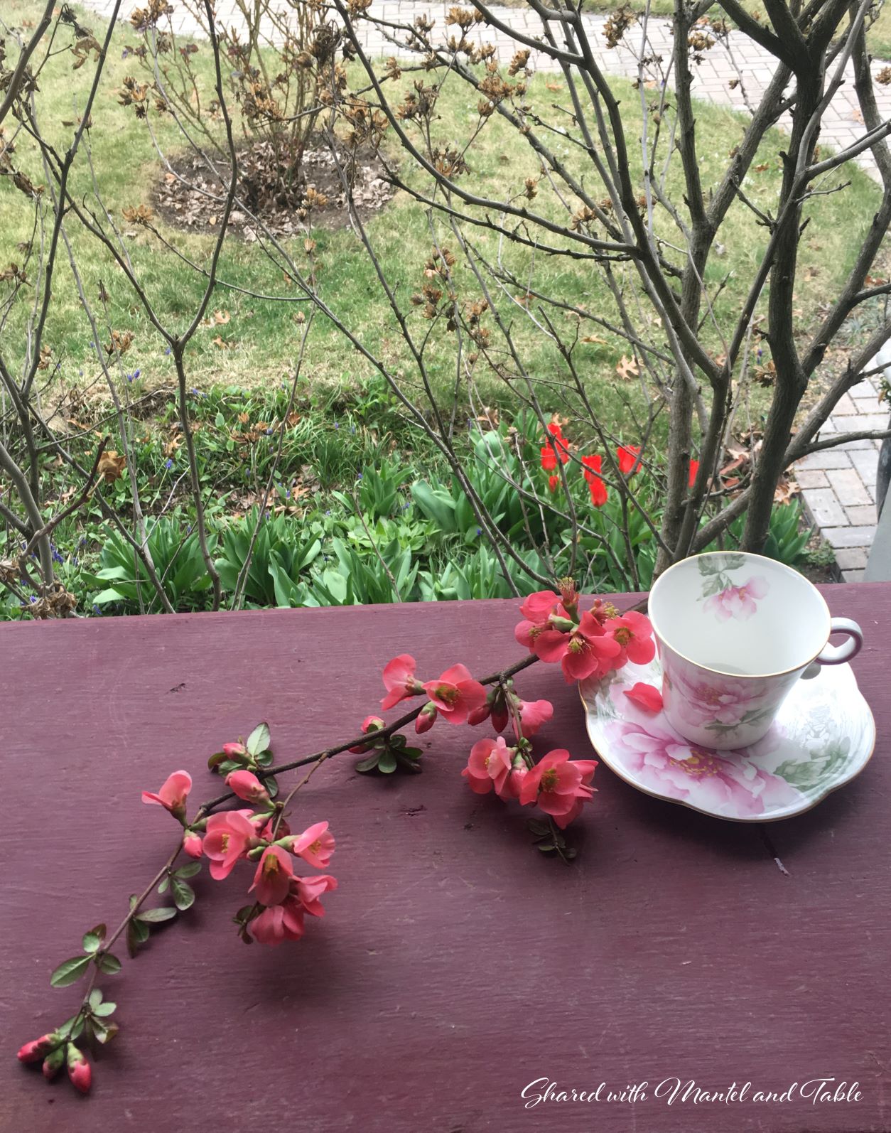 Pink and white flowered teacup and saucer on porch railing with quince blossoms