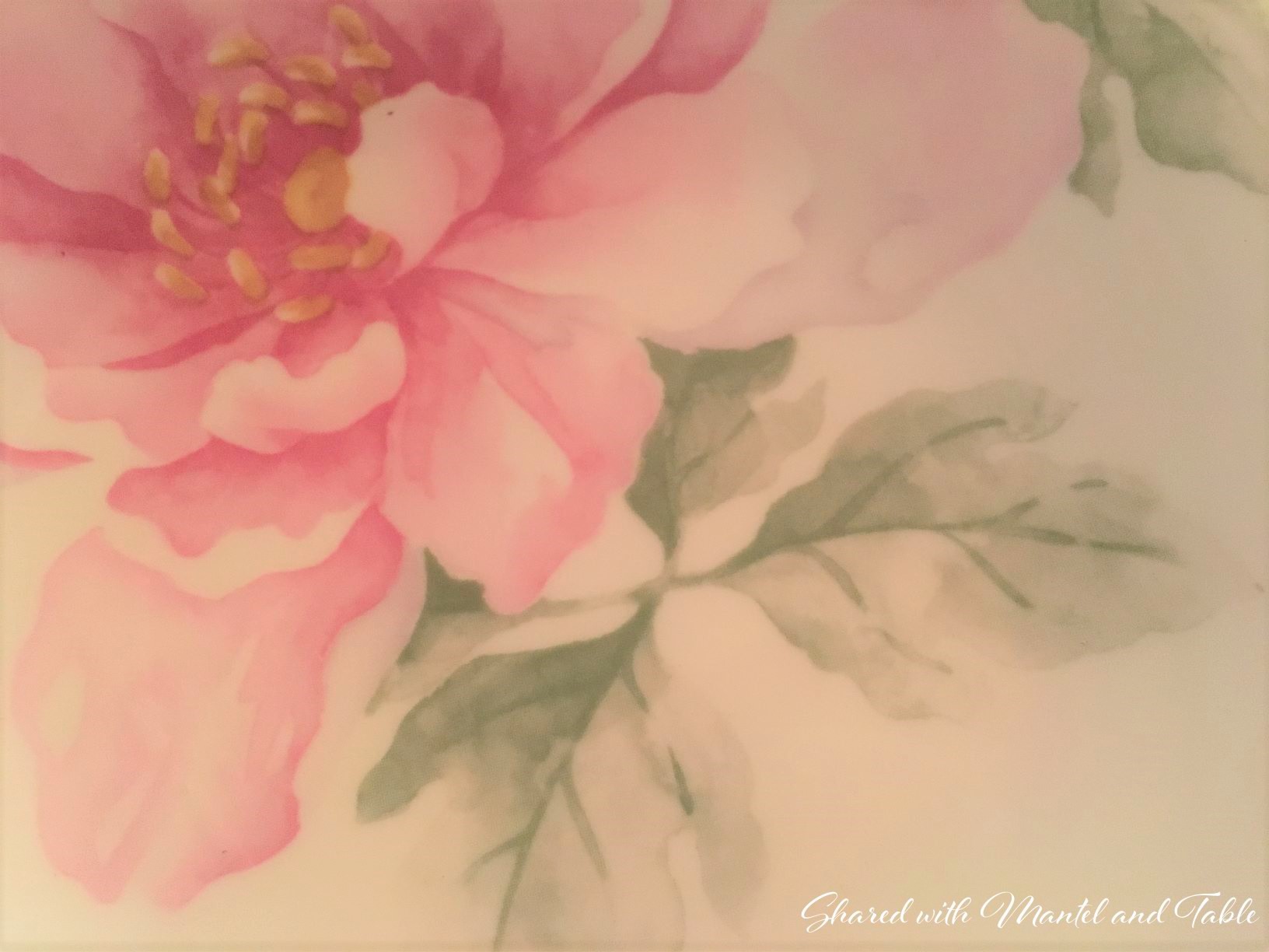 Super closeup of flower design on saucer