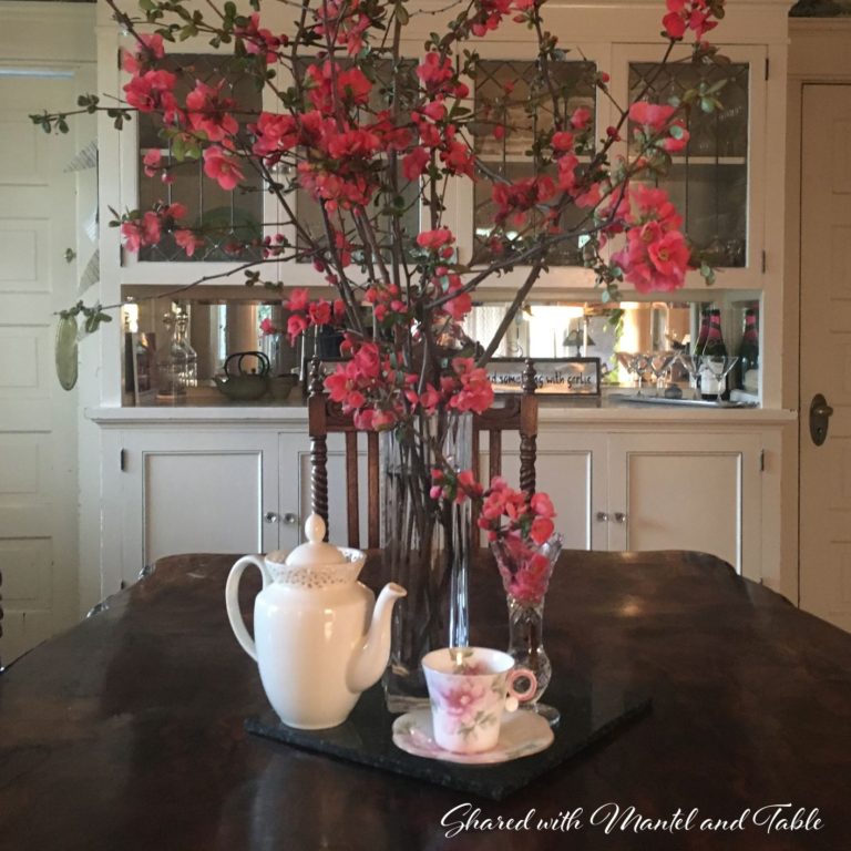 The Traveling Teacup Returns to Beautiful Springtime