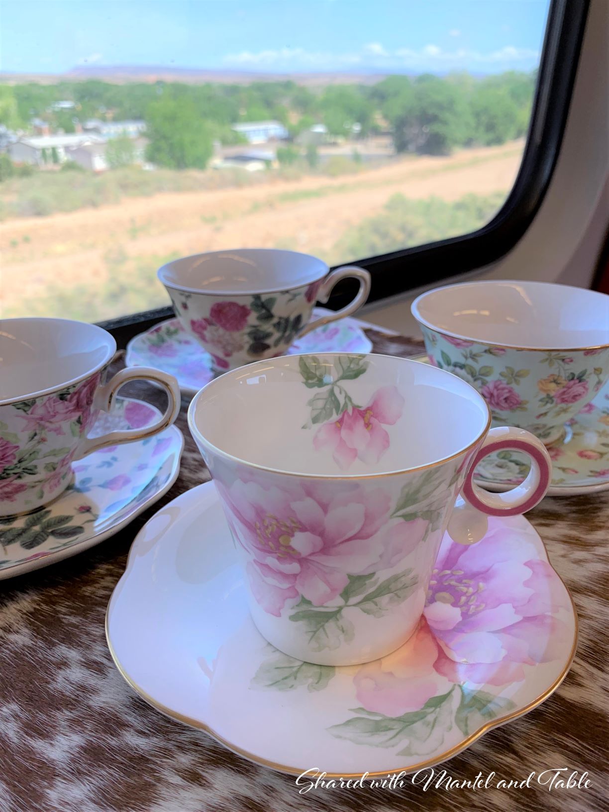 Four flowered teacups and saucers with expansive view of houses, trees, and grassland out the train window