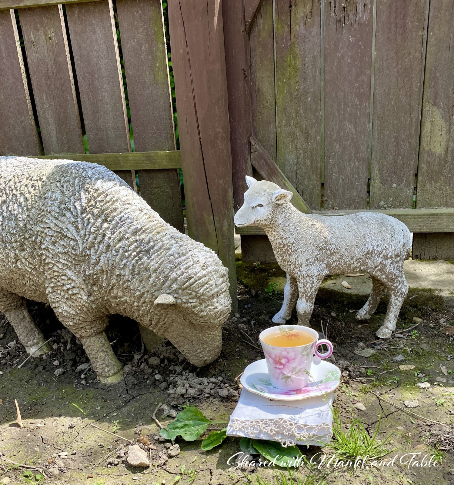 Sculpture of sheep and lamb against a red garden fence. Traveling Teacup in foreground