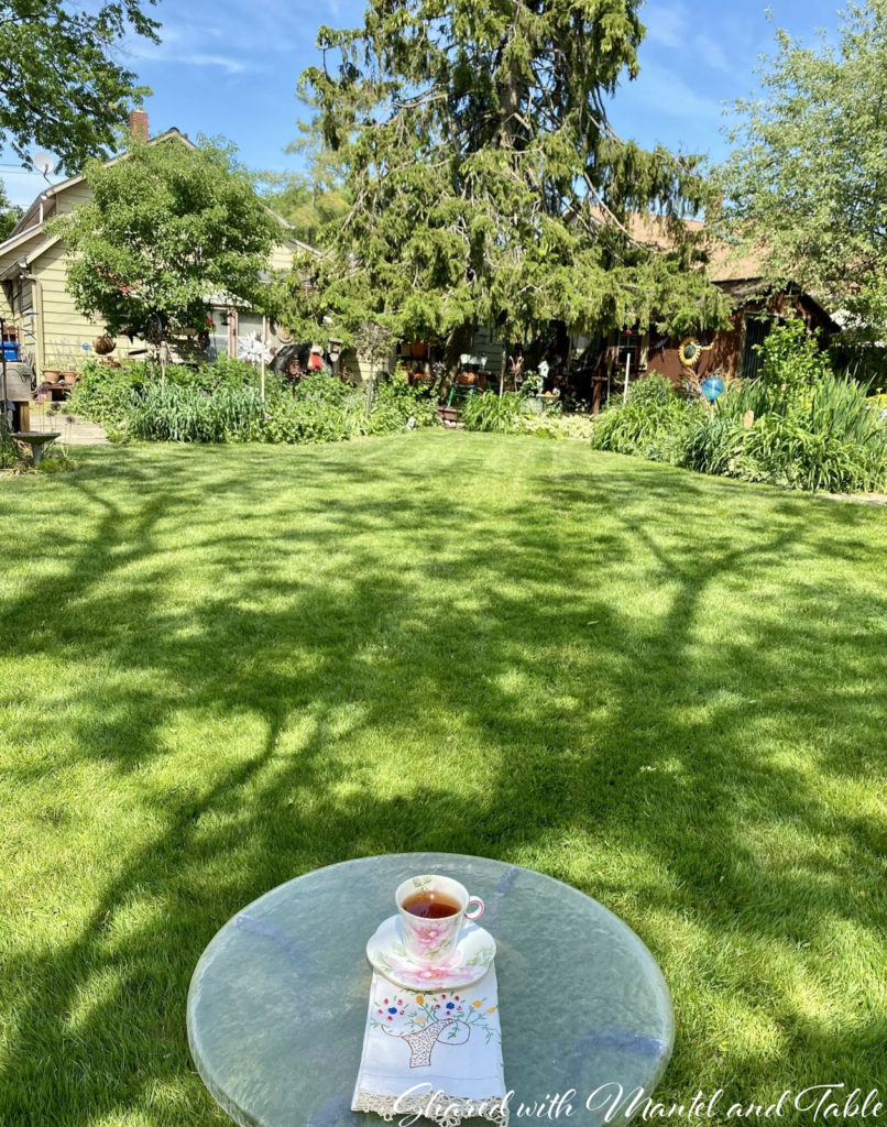 View across the lawn