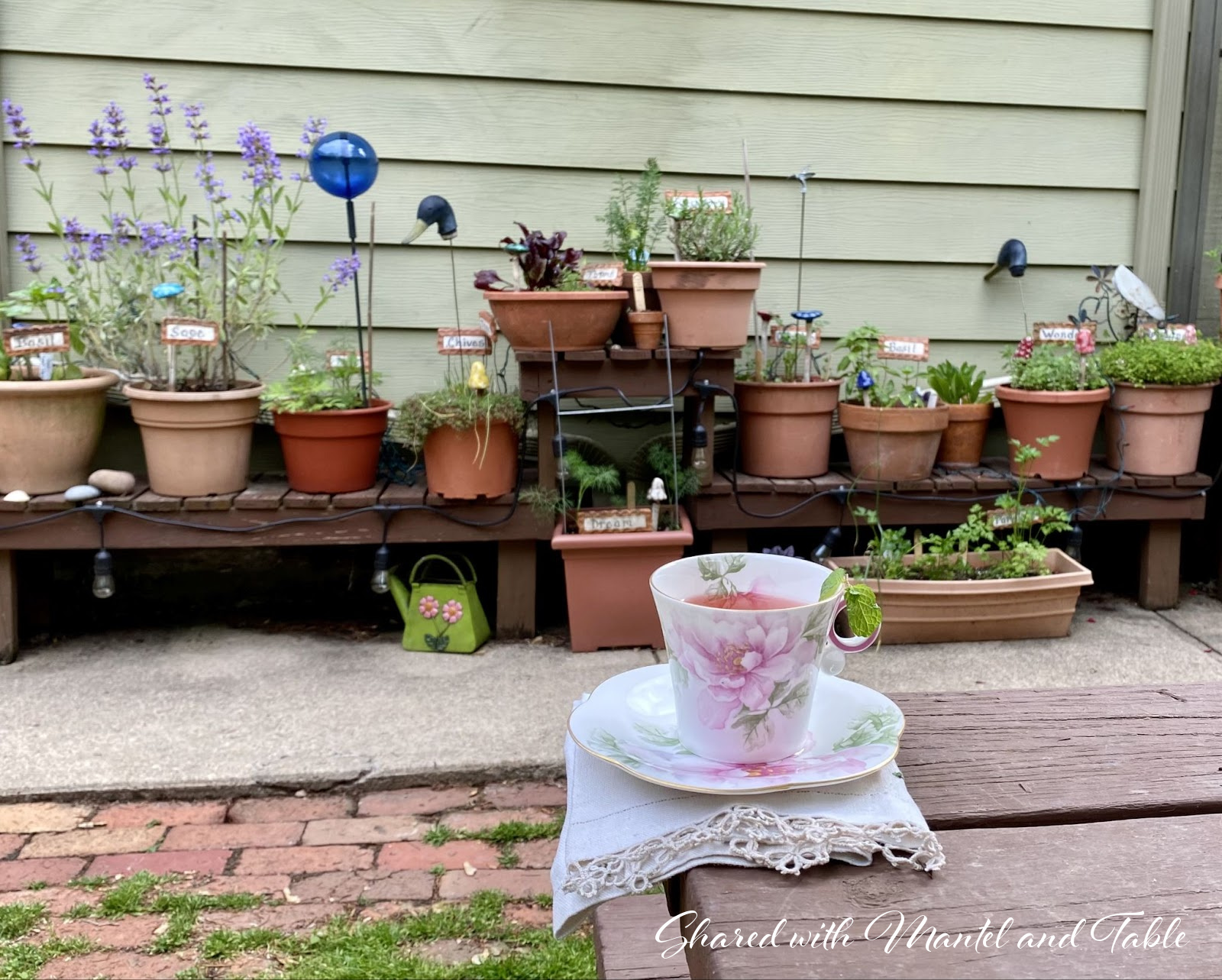 Row of potted herbs against a green building with the Traveling Teacup in the foreground