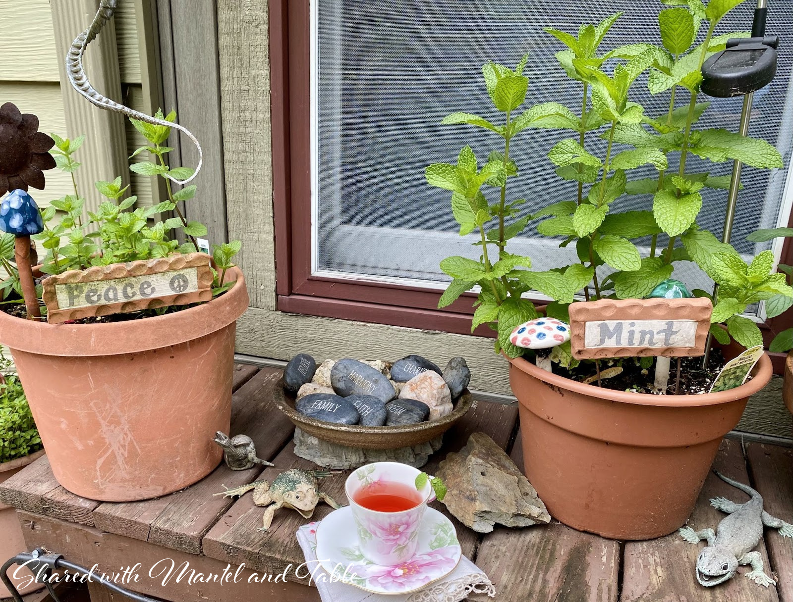 Closeup of teacup with herb pots, frog and lizard statues and engraved rocks
