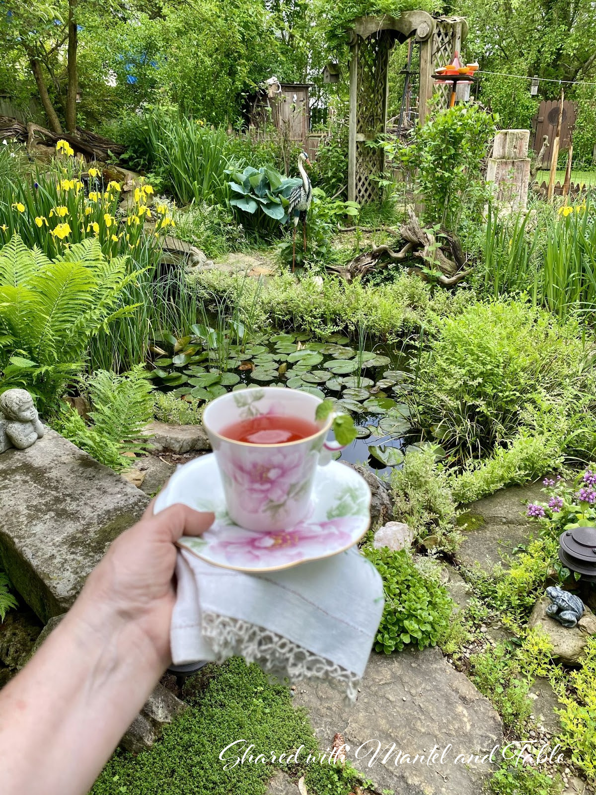 View of the pond with hand holding teacup in the foreground