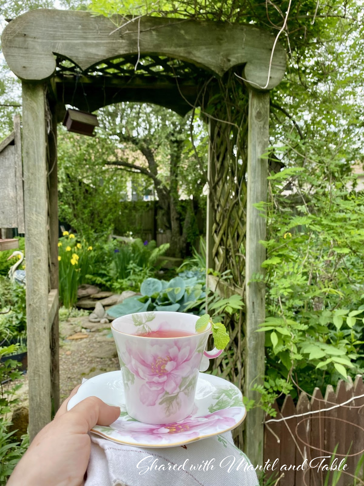 Hand holding the Traveling Teacup with wooden archway into the yard in the background