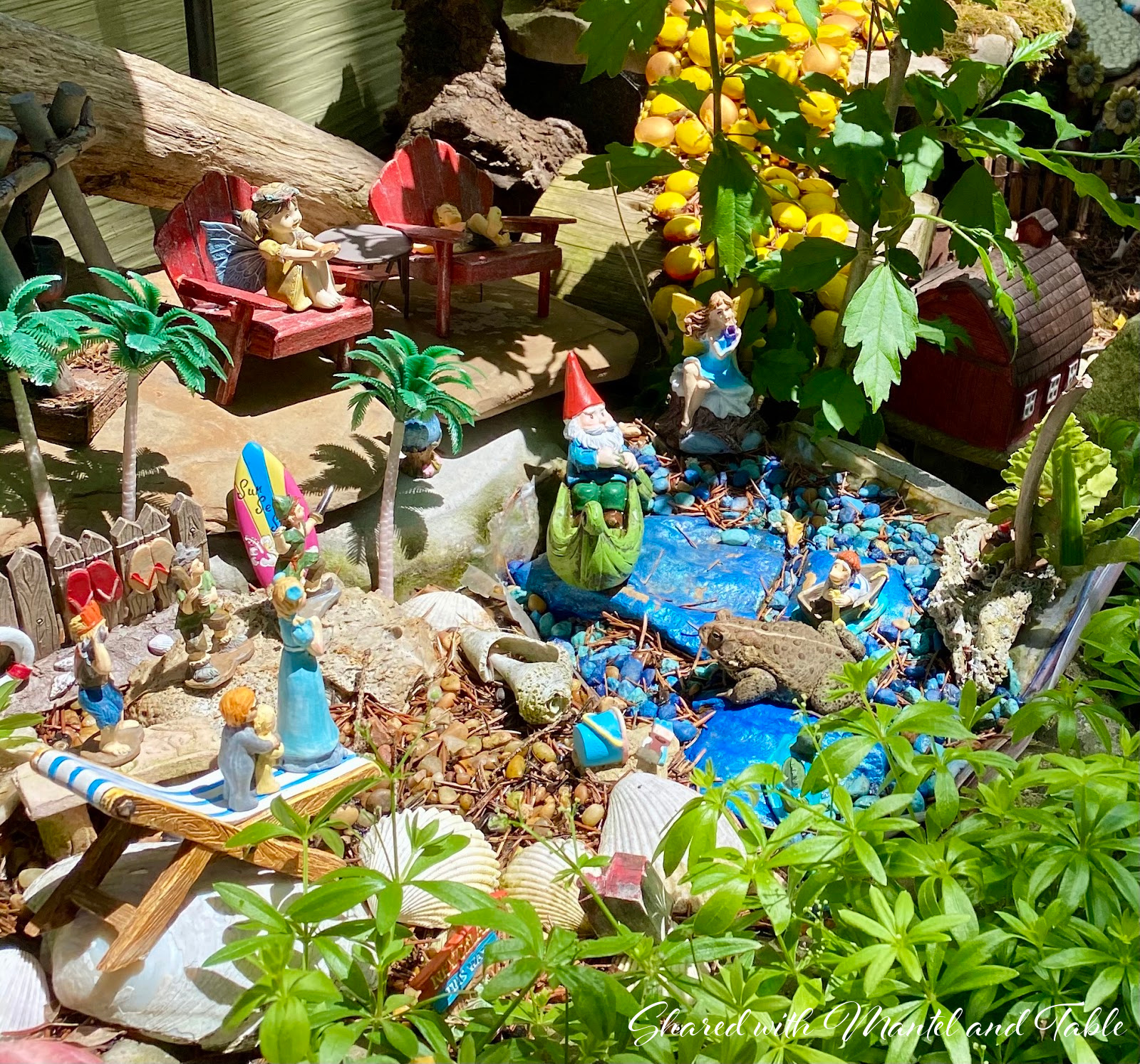 The Traveling Teacup in a miniature Peter Pan garden, seashells, and a llive toad.