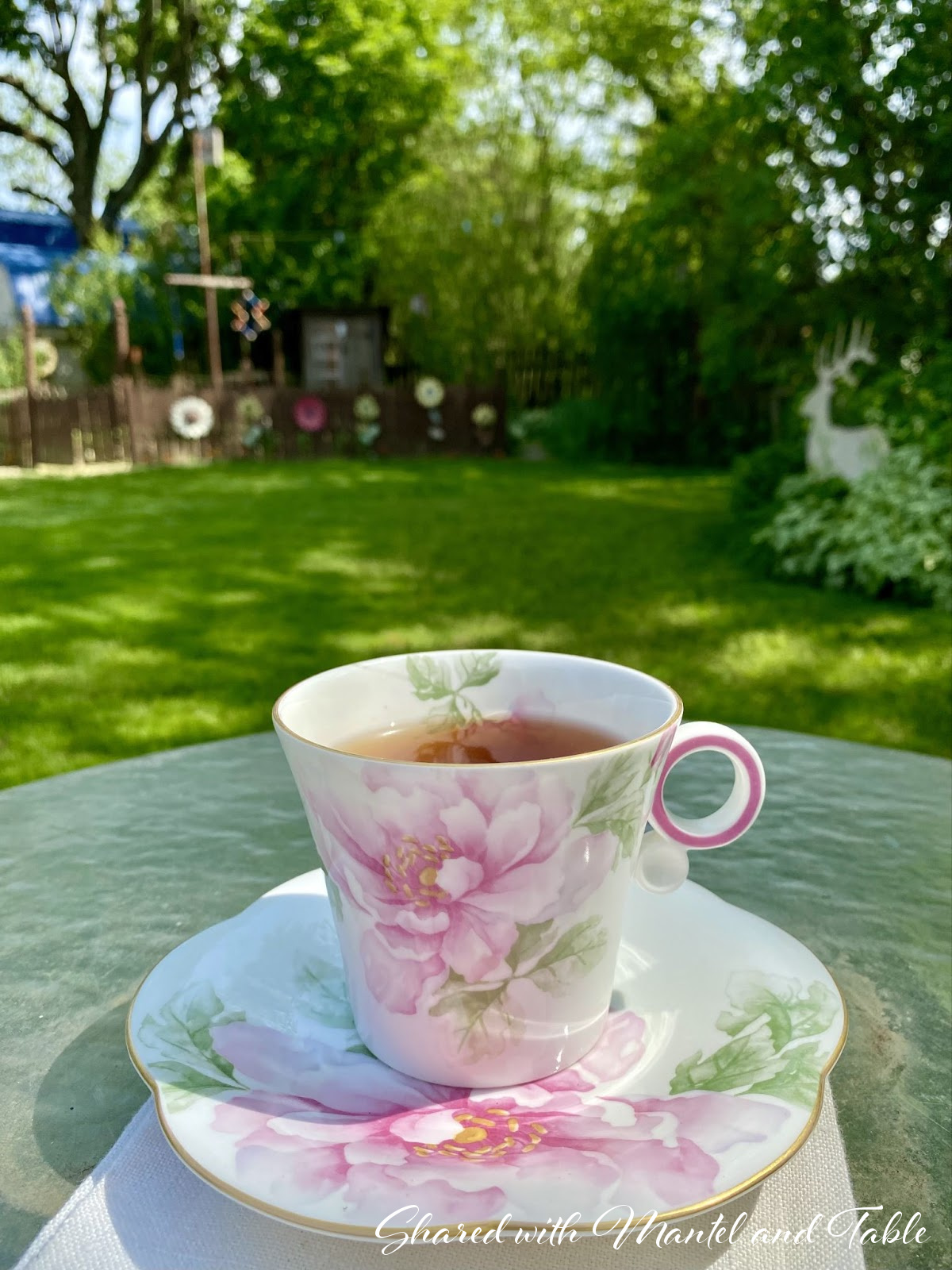 view into the yard with the Traveing Teacup in the foreground