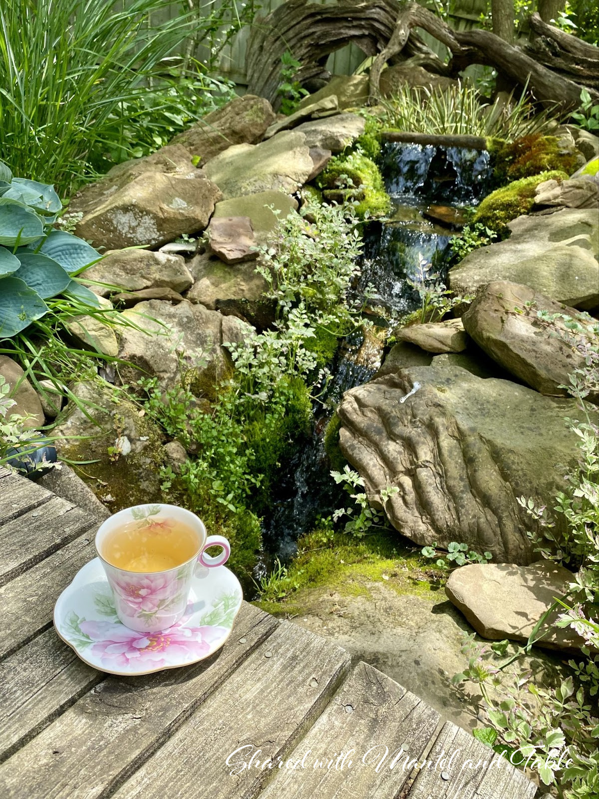 Garden waterfall and teacup on wooden bridge in foreground