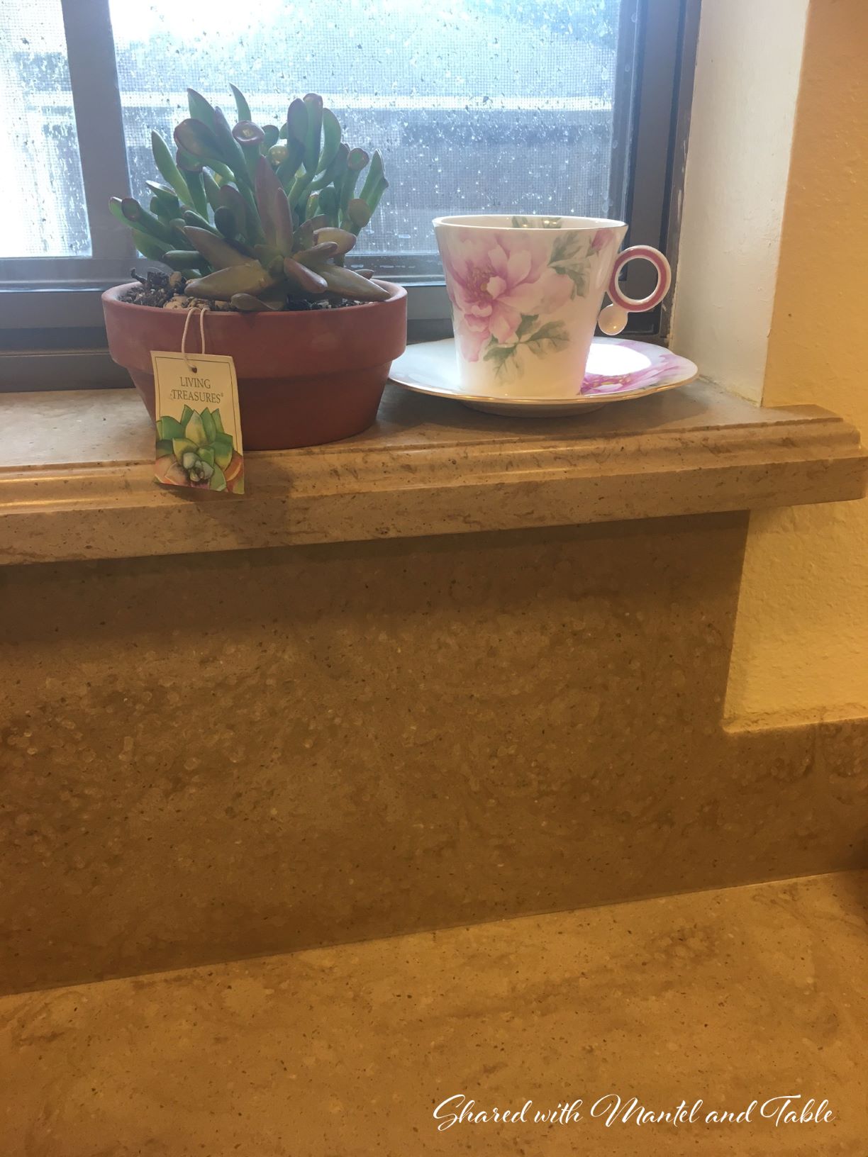 Traveling Teacup on a granite windowsill next to a potted cactus
