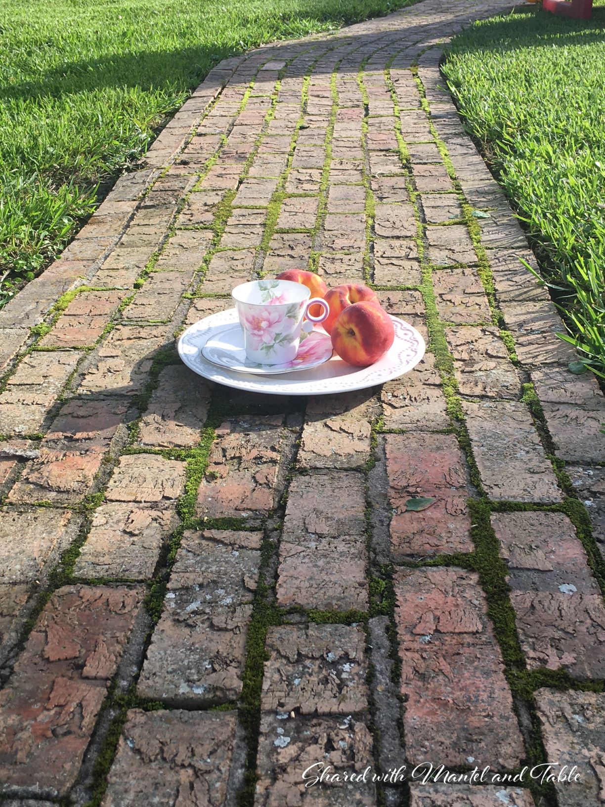 Teacup and saucer on white plate with fresh peaches, sitting on curving red brick path