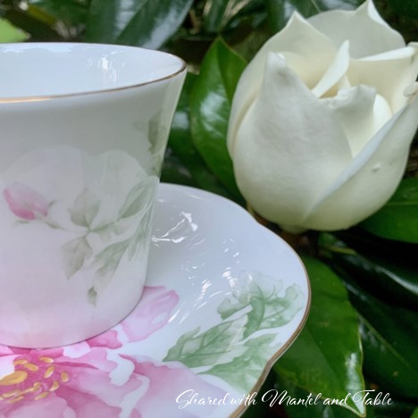 Pink and white teacup with white blossom in a Paducah KY garden
