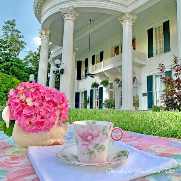 Traveling Teacup Takes an Amazing Tour of Beautiful Paducah KY
