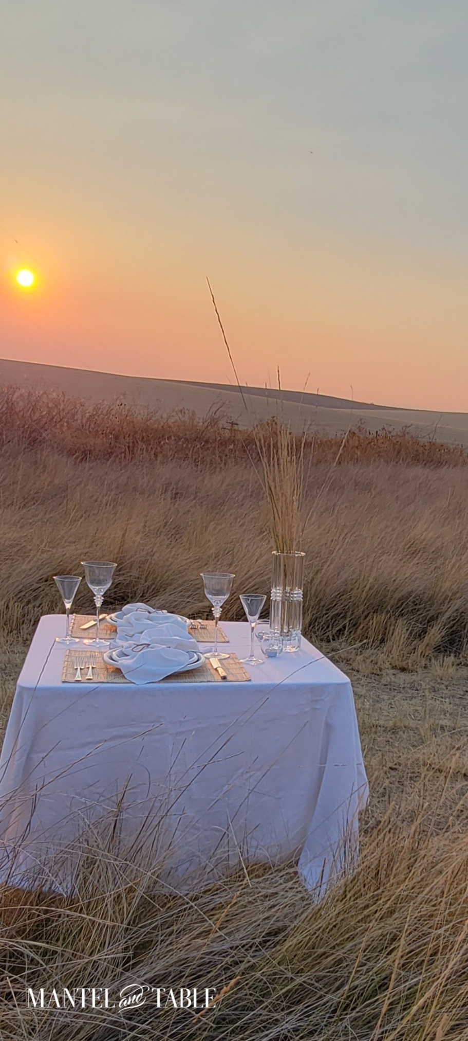 Light from the sunset shimmers on tablescape in the field