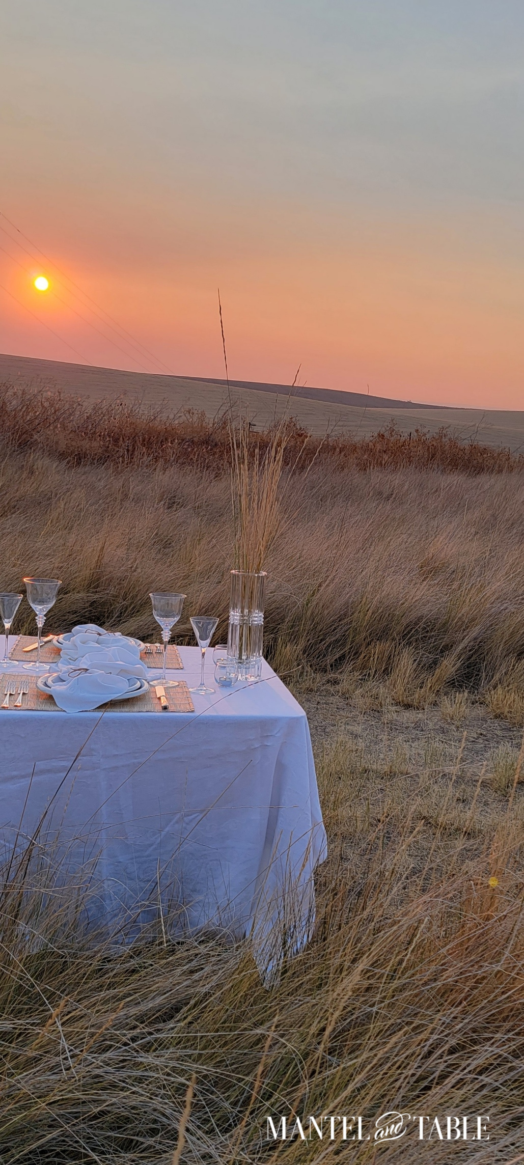 Wheat field tablescape in the sunset