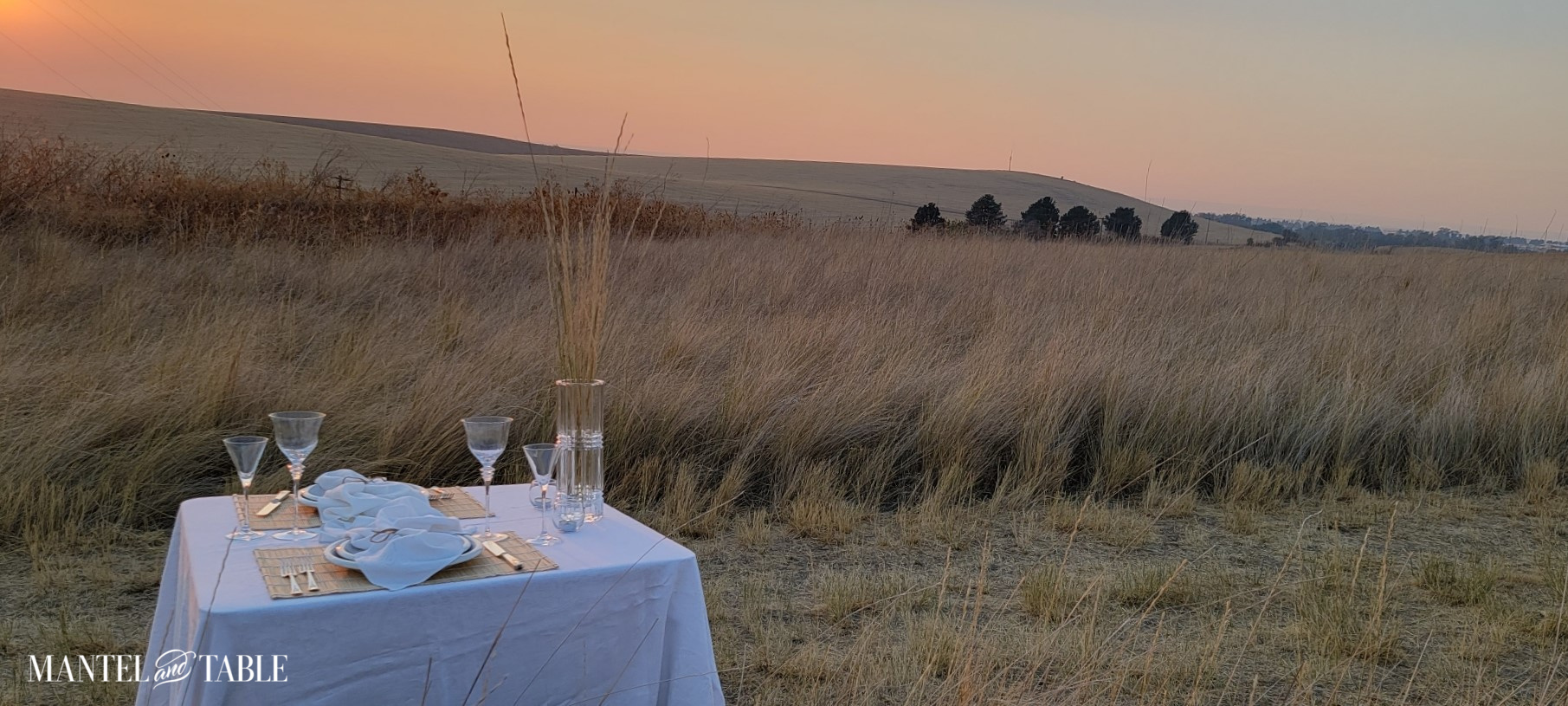 Panoramic view of wheat field and white tablescape in the sunset