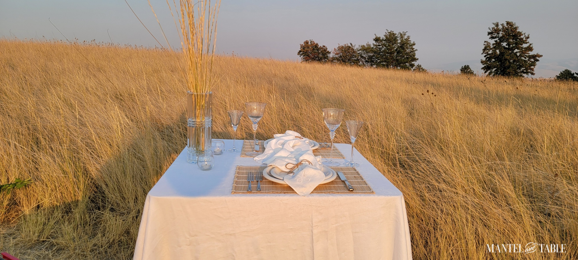 Panoramic view of table set for two in wheat field