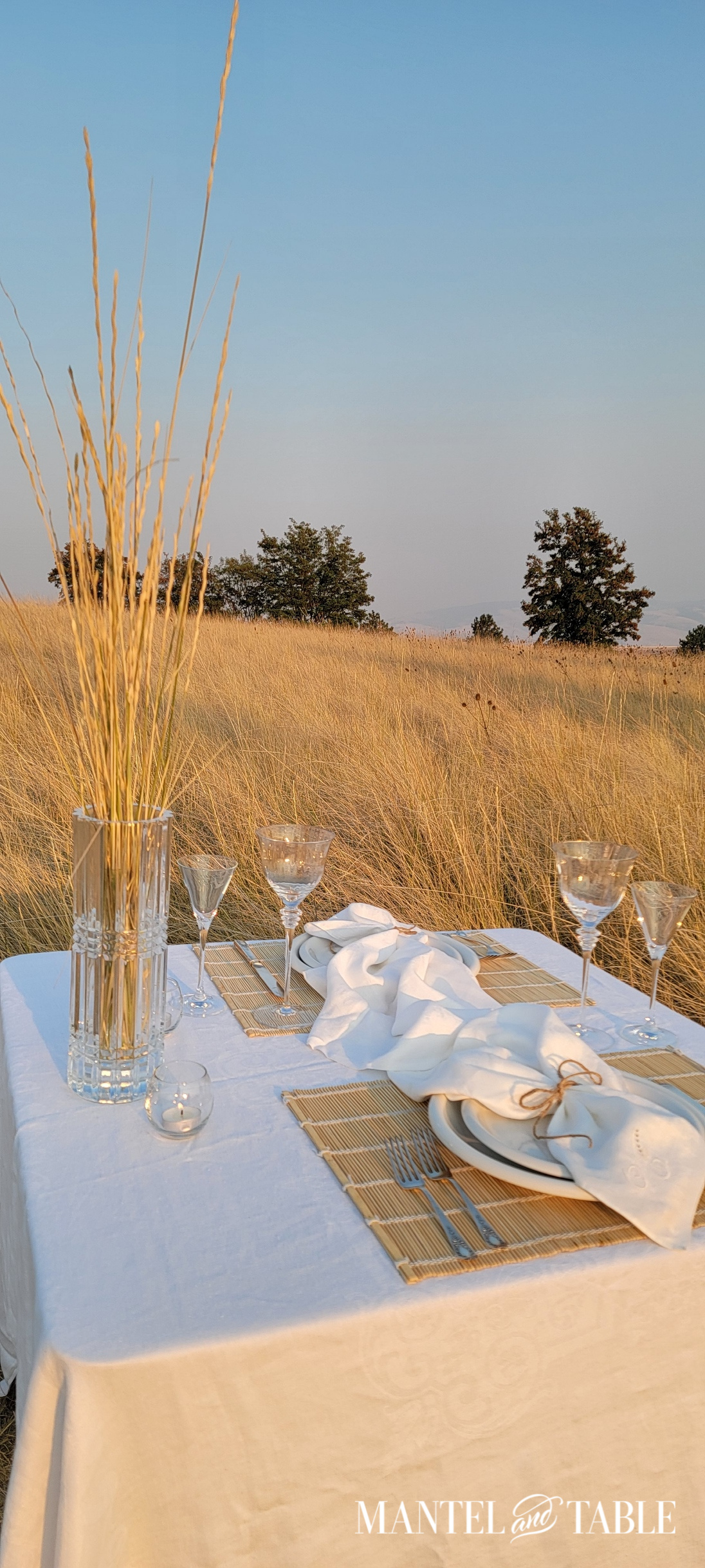 Wheat field tablescape with long view of the field