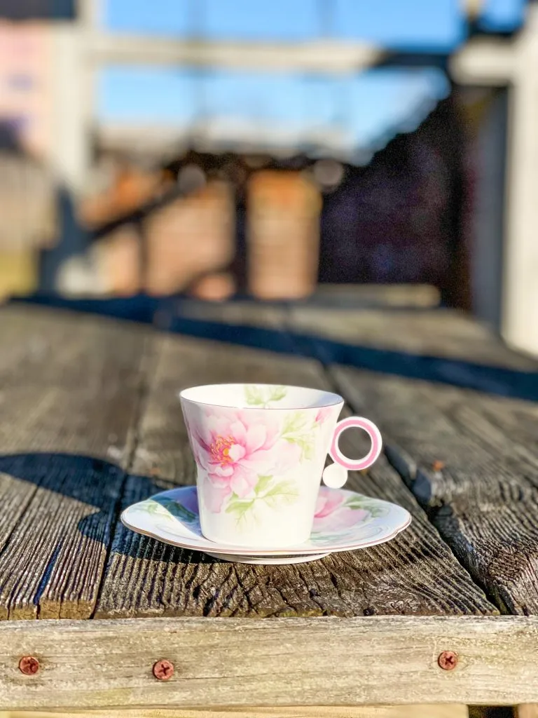 The Traveling Teacup Visits a Beautiful Historical Town