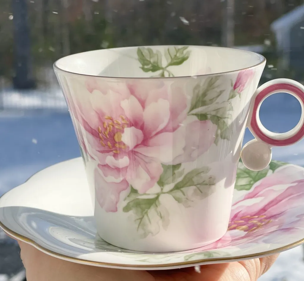 Traveling Teacup in snow