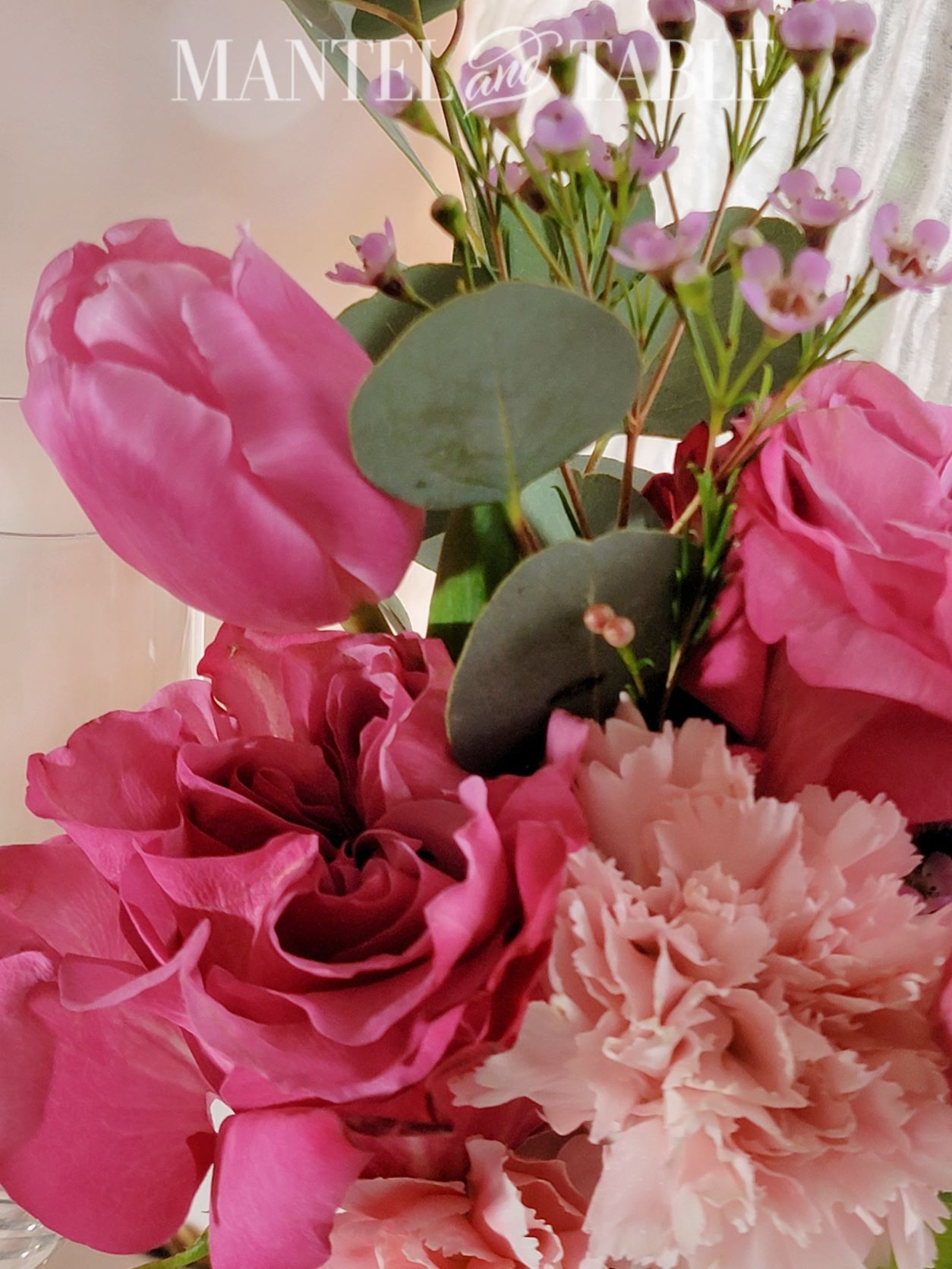 Closeup of pink flowers